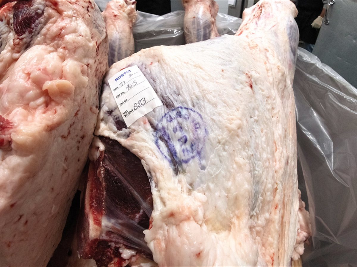 Australian Beef Chuck Tender